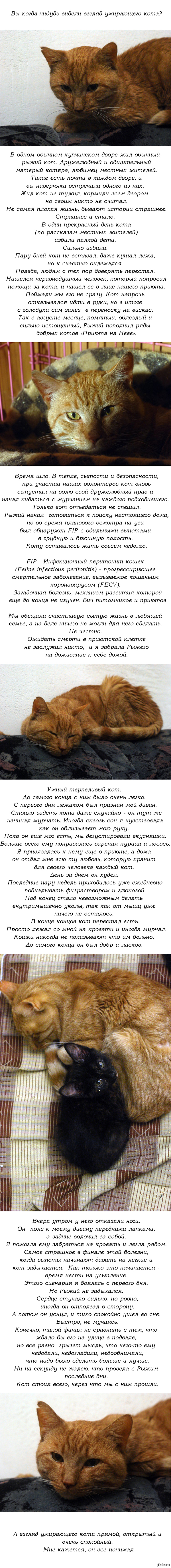 Кракен сайт продаж