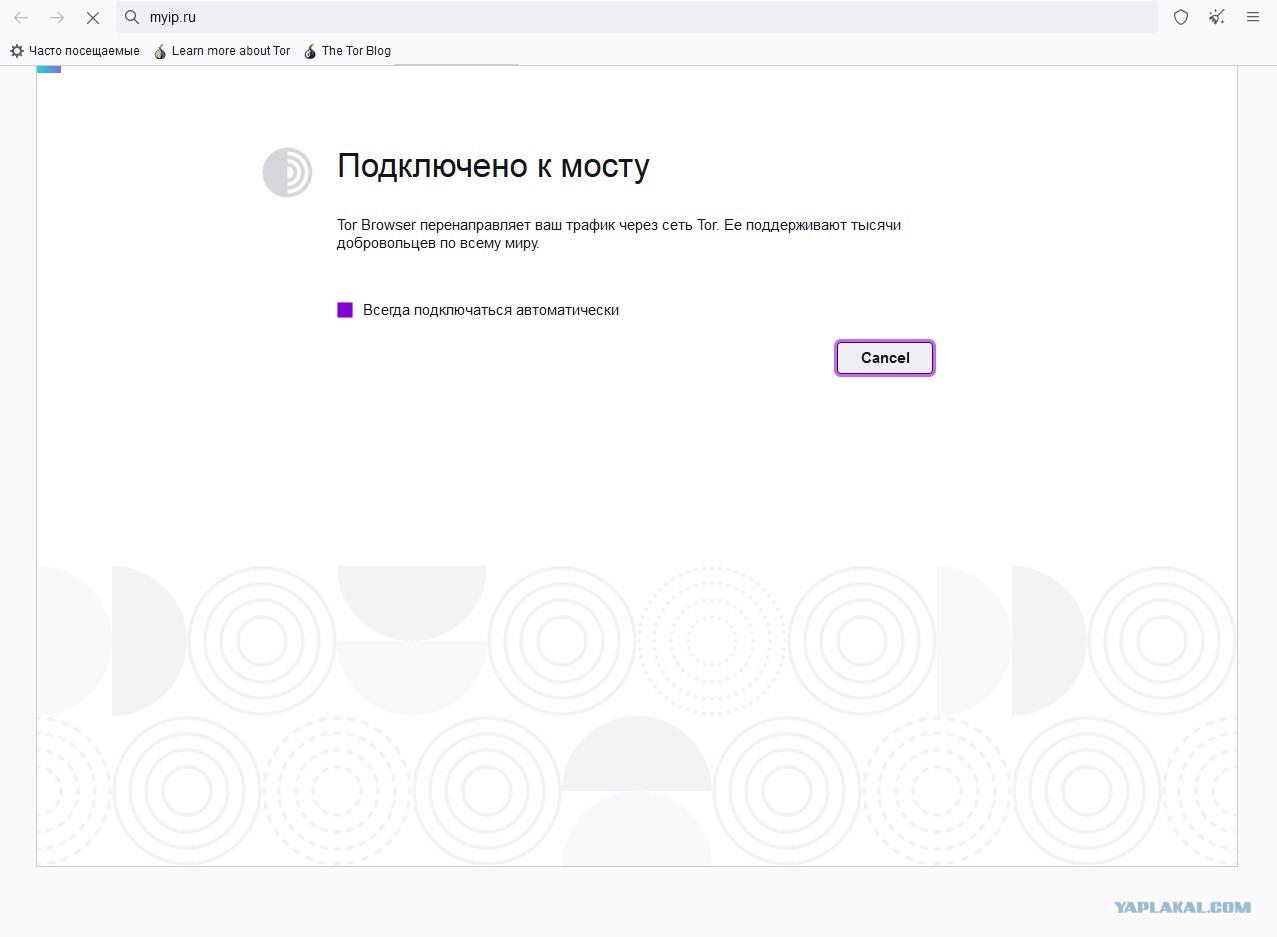 Ссылка на кракен тор