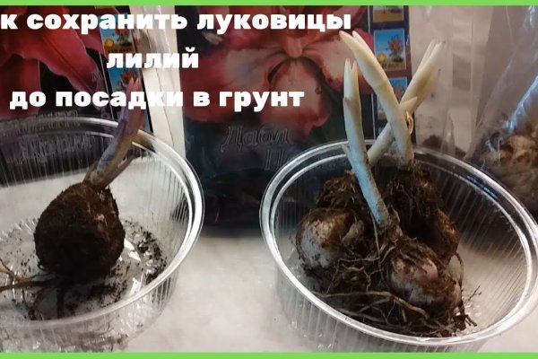 Kraken зеркала маркетплейс