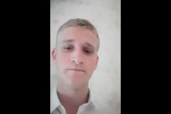 Аналог гидры