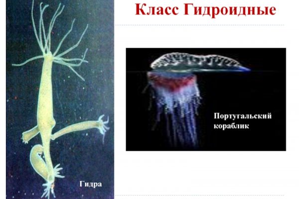 Ошибка на сервере кракен