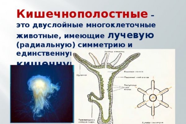 Кракен маркетплейс магазин