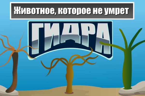 Супернет вход