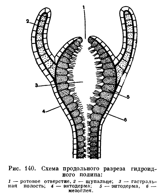 Зеркало на кракен