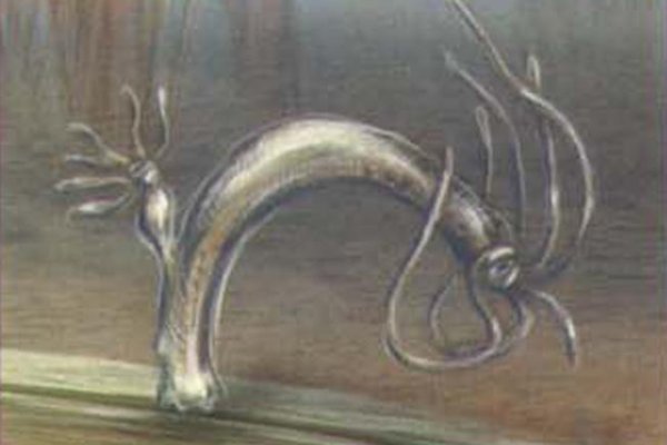 Kraken зеркало стор