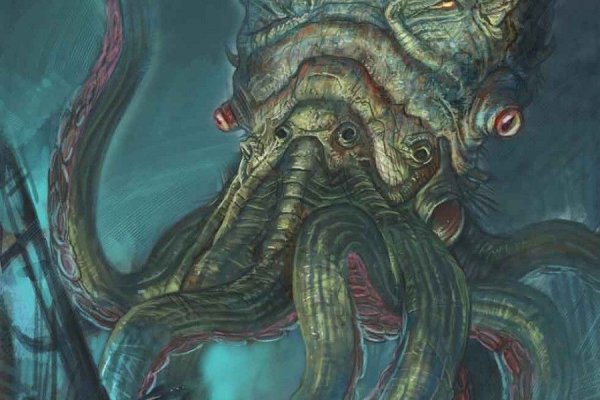 Kraken whitenet tor